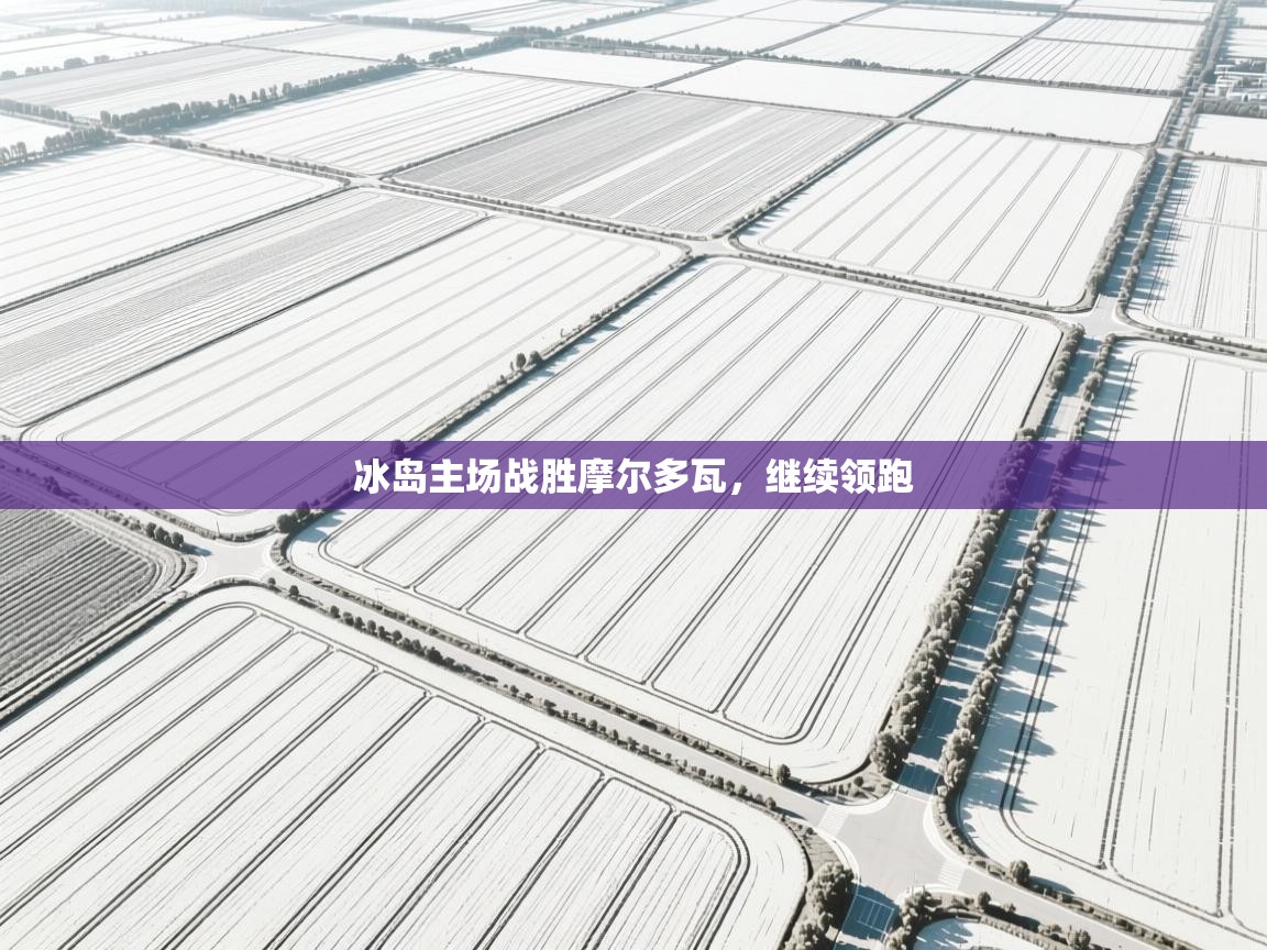 冰岛主场战胜摩尔多瓦,继续领跑 第1张