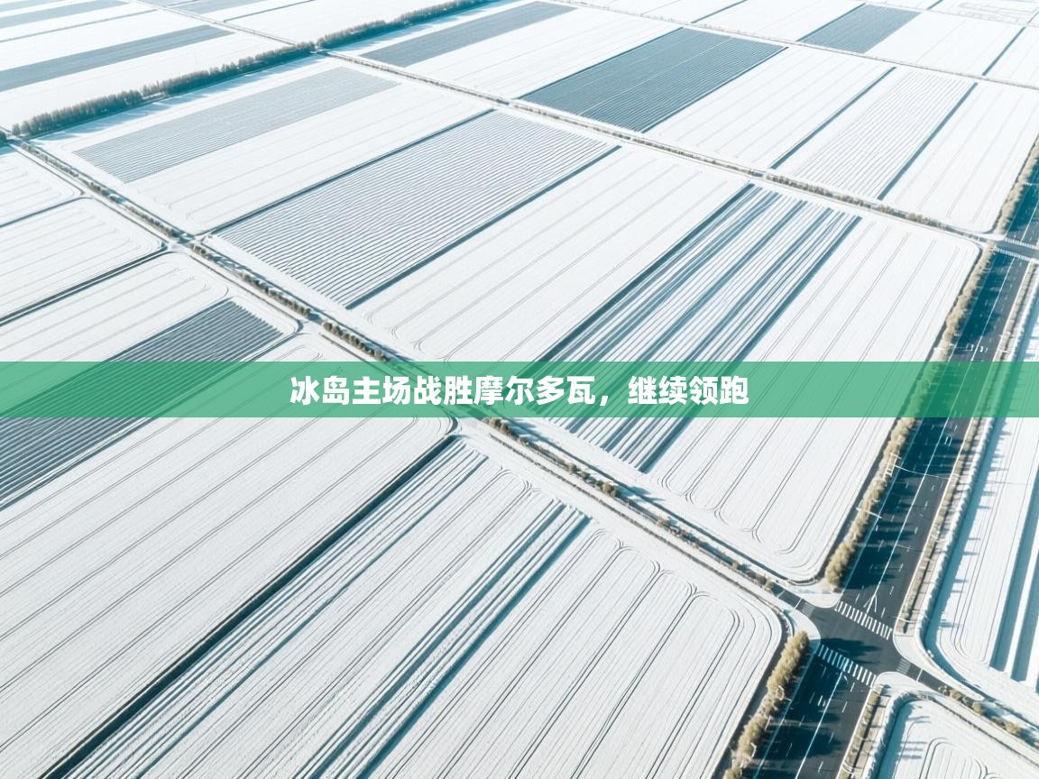 冰岛主场战胜摩尔多瓦,继续领跑 第2张