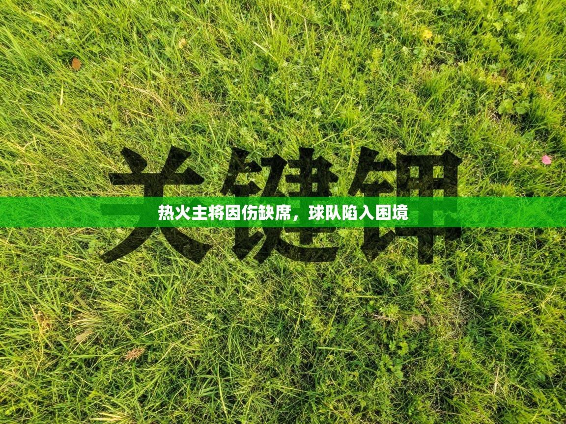 热火主将因伤缺席,球队陷入困境 第2张