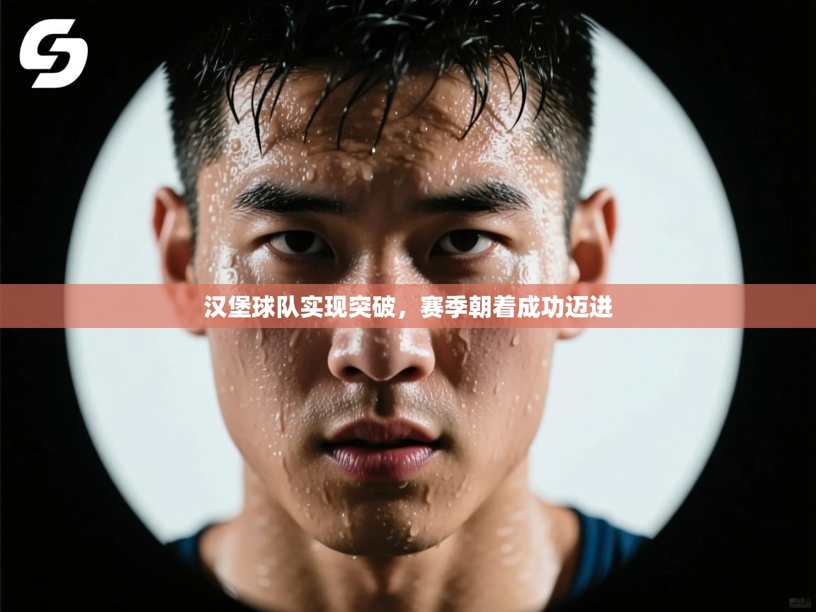 汉堡球队实现突破,赛季朝着成功迈进 第2张